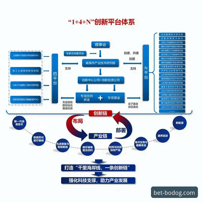 博狗网快速进入评测 博狗网官方平台快速进入路径与新版体验深度解析