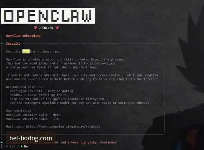 资深用户分享：解决博狗网安装失败的心得与实战经验